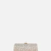 Carry Secrets Minaudiere