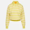 Collegiate Stripe Polo Shirt