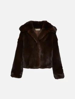 Daniel Coat