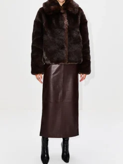 Daniel Coat