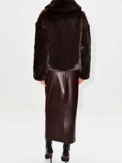 Daniel Coat