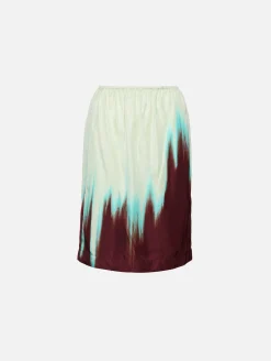 Degrade Petal Print Skirt
