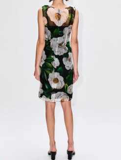 Draped Neck Dress