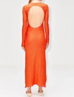 Lendi Open Back Maxi Dress