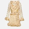 Polka Dot Organza Dress