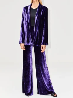 Velvet Julianne Blazer